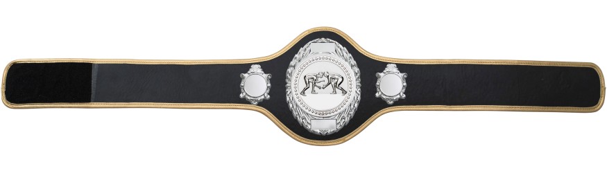 GRAPPLING CHAMPIONSHIP BELT-PRO286/S/GRAPPS-10+ COLOURS